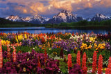 Buy Grand Teton at AllPosters.com