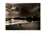 Horse Looking at the river, Normandie 99