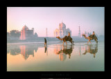 Buy Taj Mahal, India at AllPosters.com