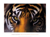 Eyes of the Goddess: Sumatran Tigress