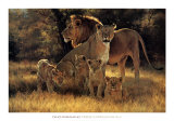 Pride