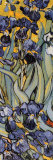 Irises, Saint-Remy, c.1889 (detail)