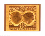 Map of the World I