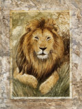 Buy Lion at AllPosters.com