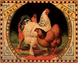 Fancy Fowl