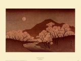 Cherry Blossoms
