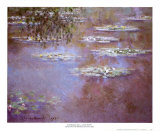 Waterlilies, 1903