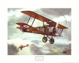 Sopwith Camel, 1917