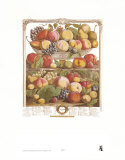 Twelve Months of Fruits, 1732, September