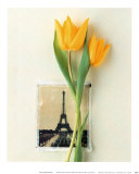 Buy Tulip, Euro-Floral at AllPosters.com