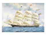 Buy Highlander of New York at AllPosters.com