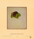 Bouquet of Violets
