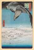 Eagle Flying over the Fukagama District