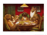 Waterloo Poker Poster