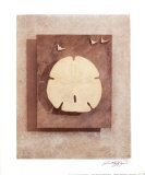 Buy Seashell Study I at AllPosters.com