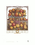 Twelve Months of Fruits, 1732, December