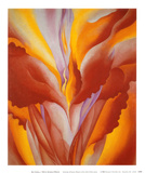 Buy Red Canna at AllPosters.com