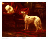 The Confrontation