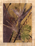 Buy Rainforest Suite II at AllPosters.com