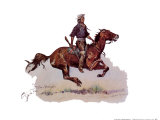 Buy Crow Scout at AllPosters.com