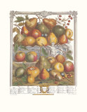 Buy Twelve Months of Fruits, 1732, January at AllPosters.com