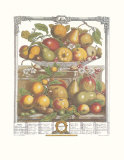 Buy Twelve Months of Fruits, 1732, March at AllPosters.com