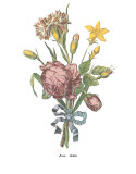 Buy Roses at AllPosters.com