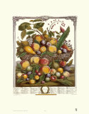 Buy Twelve Months of Fruits, 1732, July at AllPosters.com