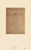 Buy Vitruvian Man, c.1492 at AllPosters.com