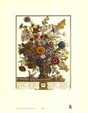 Buy Twelve Months of Flowers, 1730, November at AllPosters.com
