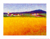 Fields of Gold