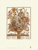 Twelve Months of Flowers, 1730, September Art Print
