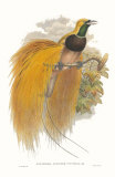 Paradise Augustae Victoriae
