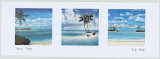 Tropical Trilogy