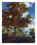 Buy Peaceful Valley at AllPosters.com