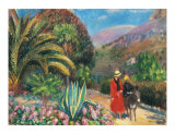 Afternoon in Provence