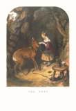 The Pets