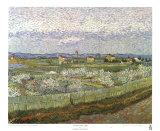 Orchard Art Print
