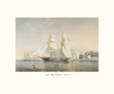 Buy The Kestrel, R.Y.S. at AllPosters.com