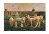 Five Lambs, 1988