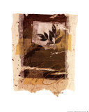 Buy Leaf Study IV at AllPosters.com