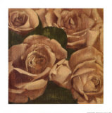 Buy Rose Cluster I at AllPosters.com