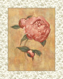 Buy Antique Peony II at AllPosters.com