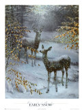 Early Snow