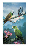 Buy Yellow Nape at AllPosters.com