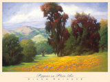 Poppies en Plein Air