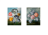 Botanical Flowers
