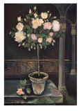 Buy Rose Topiary at AllPosters.com