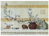 Quince Blossoms