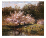 Sheep Grazing Under Apple Blossoms